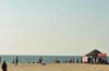 Sea food festival on Malpe beach today
